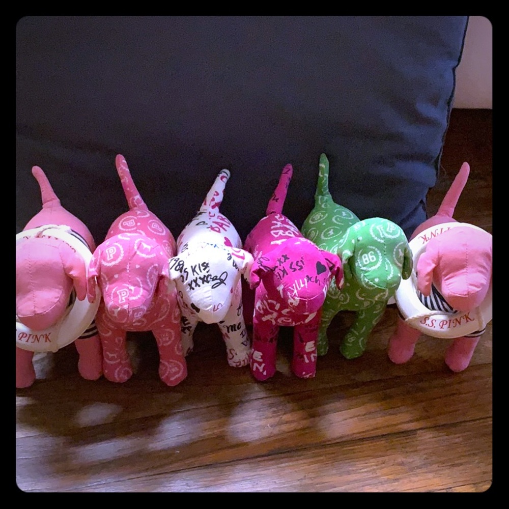 Victoria's Secret mini dogs!